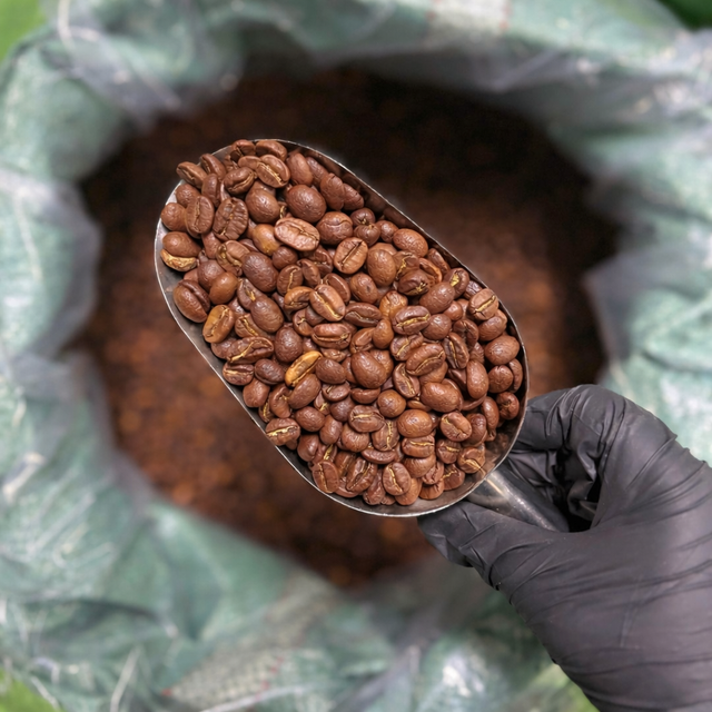 Arabica/ Robusta  ROASTED Coffee Beans - Image 3
