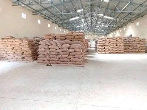 Premium Cocoa Beans Wholesale Bulk Supply Export Quality Grade A Raw Cocoa Beans for Global Buyers - Image 4