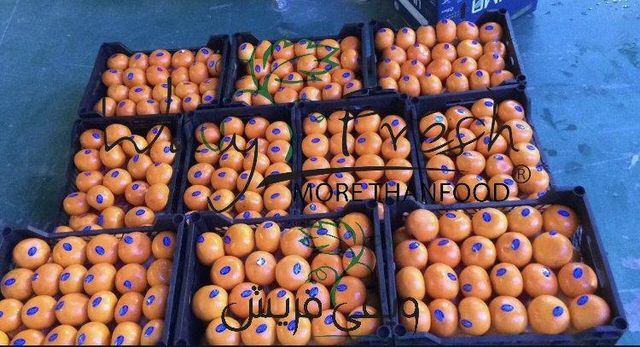 Mandarin - Image 2