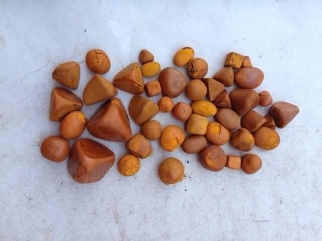 Quality Light Yellow Cattle Bladder Gallstones 100% Whole Stones Top Grade Food Use Available - Image 4