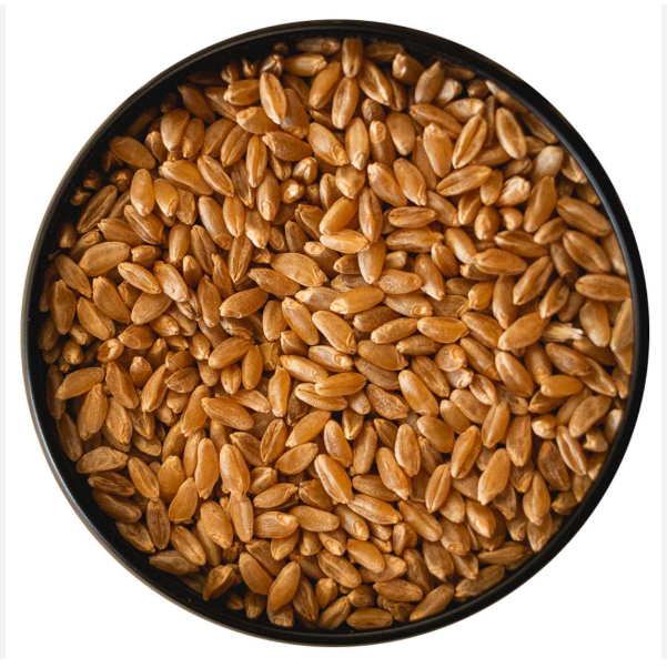 Premium Quality Durum Wheat Grain Features GMO-Free, Gluten-Free Type Durum Wheat, Einkorn Wheat, Emmer, Soft Wheat Packaging Size > 1 kg to 5 kg, > 10 kg to 25 kg, > 25 kg, > 5 kg to 10 kg, Up to 1 kg - Image 3