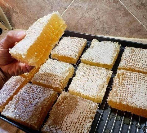 Best Price Wholesale Pure Raw Natural Honey From Bee, Best Honey - Image 1