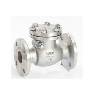 Stainless Steel Non Return Valves Swing Low Temperature Flange Float Check Valve - Image 3