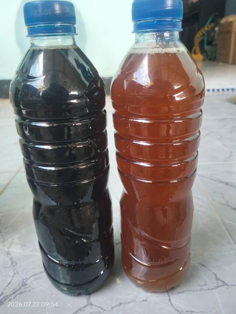 Fish Oil - Image 1