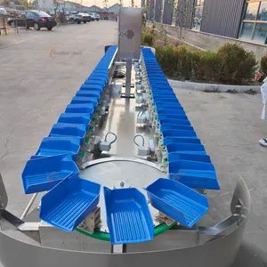 Long Life Service Onion Grader Machine - Image 2