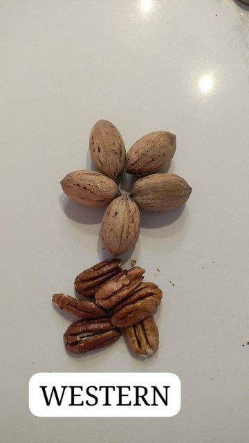 Walnuts – product photo 1, product detail gallery