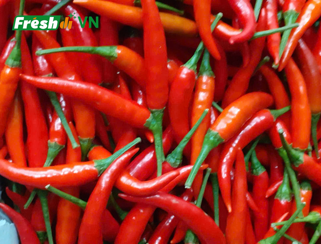 Frozen Chillies (Capsicum annuum / Capsicum frutescens) Size 3–10 Cm Texture Firm Origin Vietnam Color Green / Red Delivery Form Bag, carton - Image 4