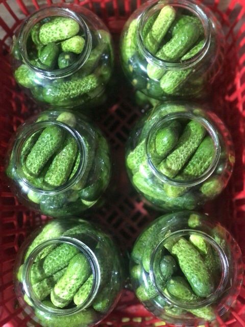 Pickled cucumbers in a glass jar Place of Origin - Image 4