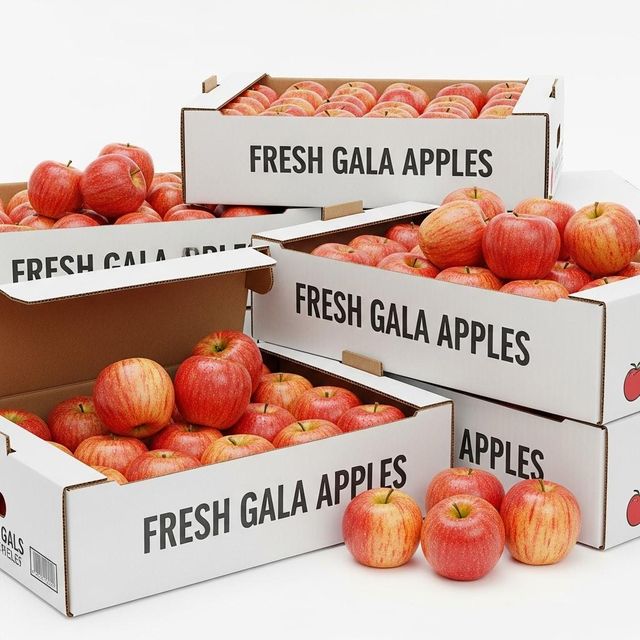 Fresh Gala Apple Fresh Fruit Selection With Excellent Crunch And Natural Aroma For Wholesale Distribution - Image 4