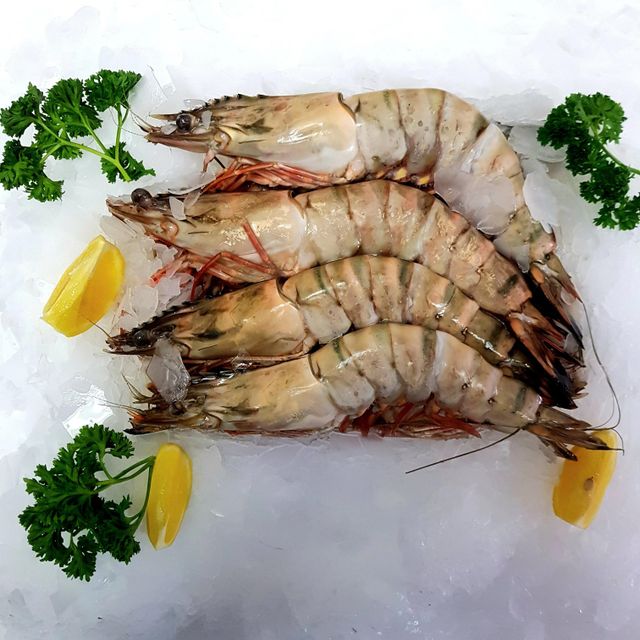 Frozen Fresh Shrimps Premium Export Quality With Firm Texture Natural Taste And Carefully Selected Seafood Supply - Image 4