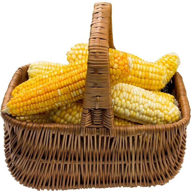 Fresh Harvested White/Yellow Maize With Cleaned Kernel Processing For Overseas Wholesalers And Global Grain - Image 4