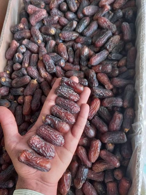 Dates All Types Quality Fresh, New Crop Consumption Type Fresh, Processed Packaging 500gr, 5kg, 10kg cartons Cooking Applications Baking, Cooking - Image 5