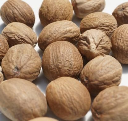 Nutmeg - Cangkang - ABCD - SS - BWP - Image 3