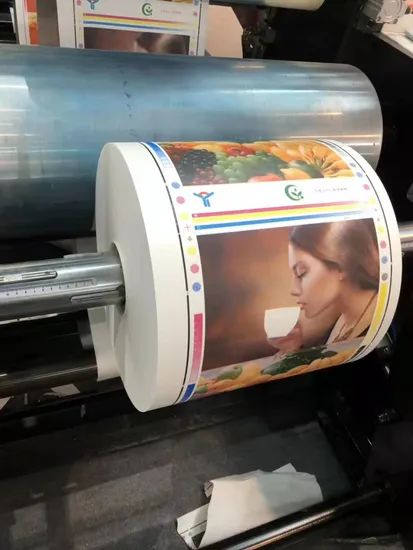 Automatic Roll to Roll Flexo Offset Printing Machine - Image 4