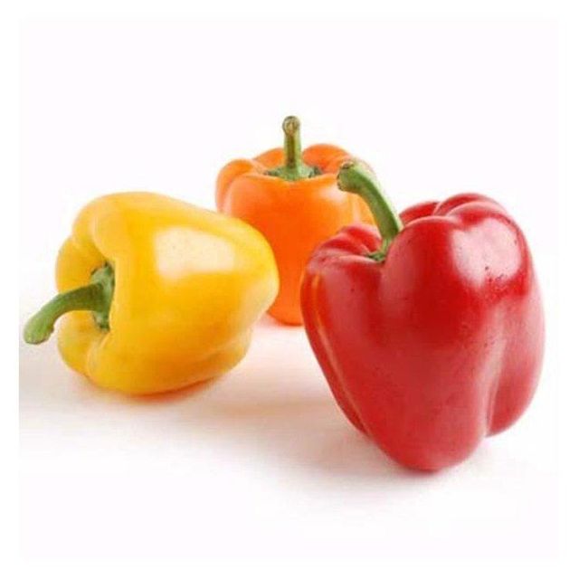 Natural Product Fresh Capsicum Fresh Bell Sweet Color pepper Grade Top Texture Crisp Packaging Bulk Type Bell Pepper Flavor Profile Sweet - Image 4