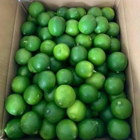 Fresh Lemons - Grade A, Organic Non-Peeled Yellow Citrus | Fresh, Premium Quality for Culinary Excellence - Image 4