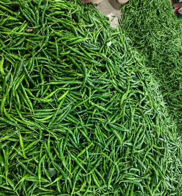 Fresh G4 Green Chilli - Premium Indian Export Quality (3.8kg Net Box) - Image 3