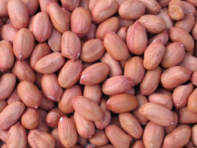 PEANUT - Image 1