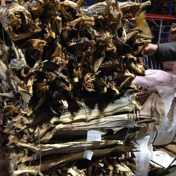 Norway Dry Stockfish for Sale / Dried StockFish / Frozen Stock Fish - Image 1