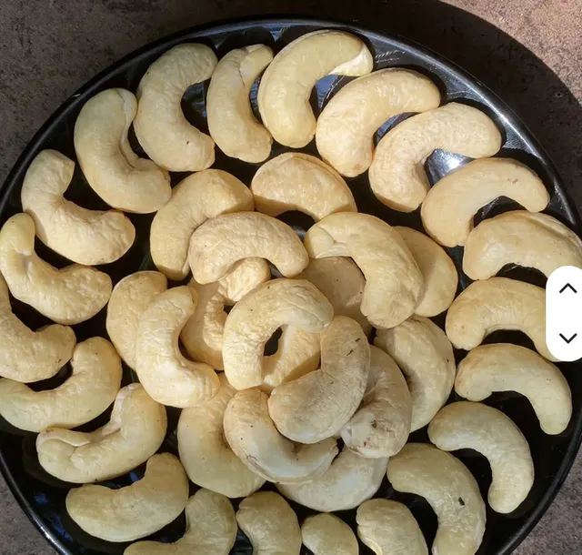 OEM Service New Crop 100% Natural Raw Cashew Nuts Grade a W320 Whole Cashew Kernels 5kg From Vietnam Manufacturer - Image 2