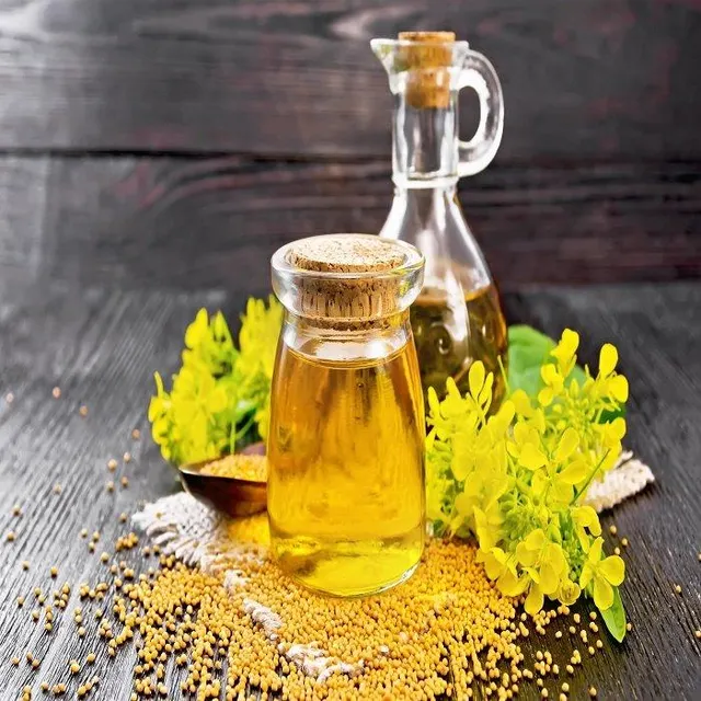 Best Quality Organic Refined Canola Oil Fractionated Cooking Oil Grade Canola 5L Bulk Plastic Bottle Household Use - Image 1