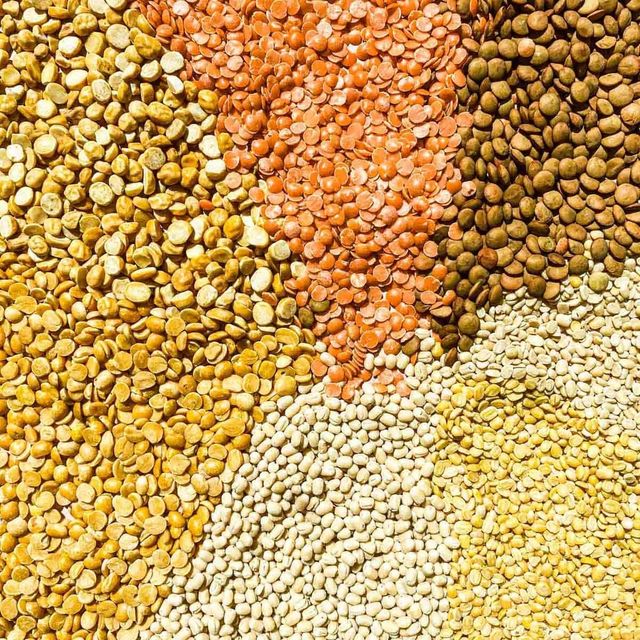 Clean Processed Yellow Lentils Bulk Supply For International Food Companies Premium Quality Yellow Lentils Rich Nutrition - Image 3