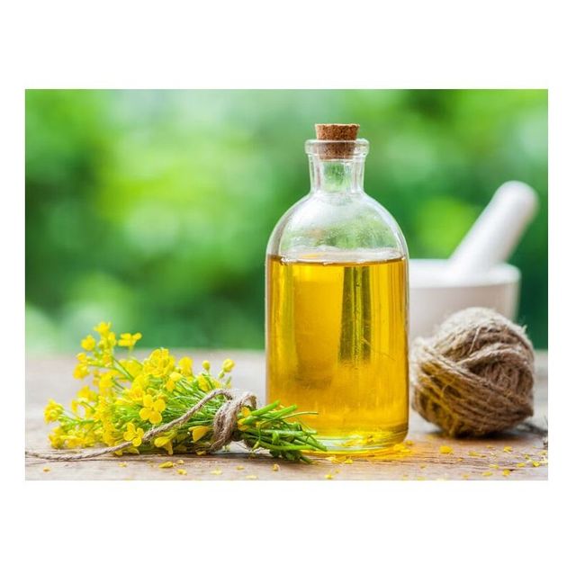 Hot Selling Price Refined Rapeseed Oil / Canola Cooking Oil in Bulk - Image 2