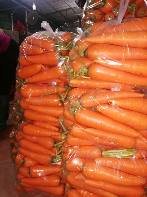 Fresh Carrots Carrotfresh Carrot Price Export Wholesale Packing 4.5kg Net Fresh Vegetables Premium Carrot Year Round 1 Cont 20ft - Image 4
