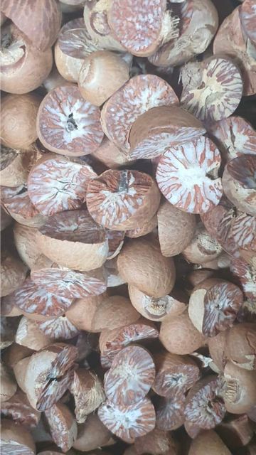 BETELNUT - Image 5