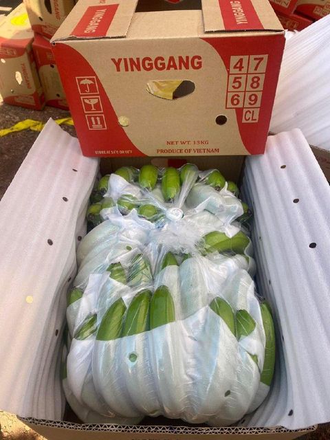 Hot Sale 2024 New crop Cavendish Vietnamese Bananas with High Quality Fresh bananas With Competitive Price – product photo 3, product detail gallery