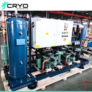 Refrigeration Compressor Rack Systems Condensing Unit Rack Manufacturers - Image 6