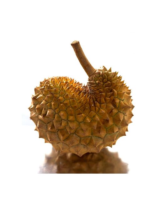 Golden Pillow Durian fruit Thailand Fresh Durian Monthong - Image 3