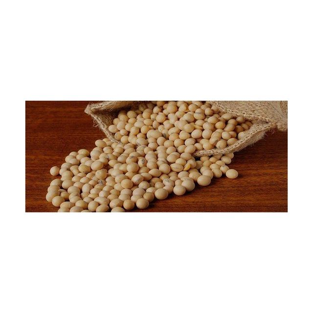 Yellow Soybeans - Image 1