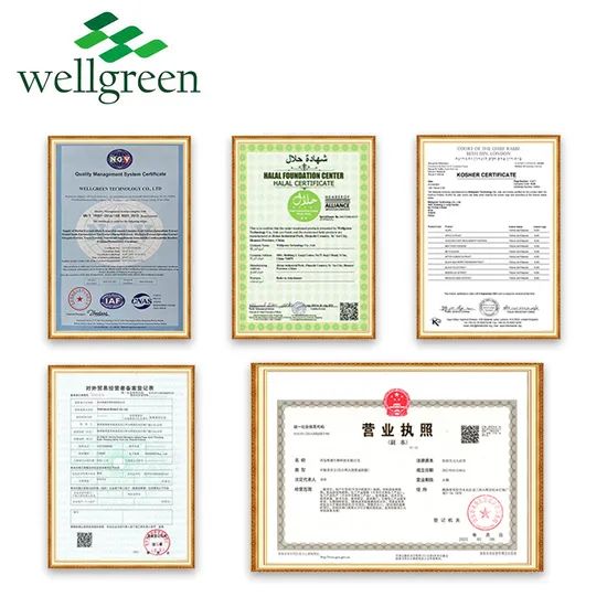 Wellgreen Fruit Powder Strawberry Juice Powder Strawberry Powder - Image 6