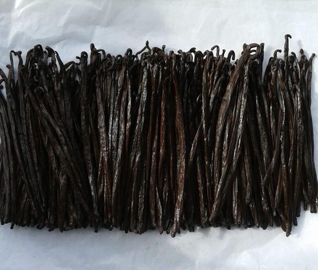 RENDAH PLANIFOLIA GOURMET VANILLA BEANS Super Premium Quality Indonesia Hot Selling Bourbon Vanilla Pods with Reasonable Price - Image 6