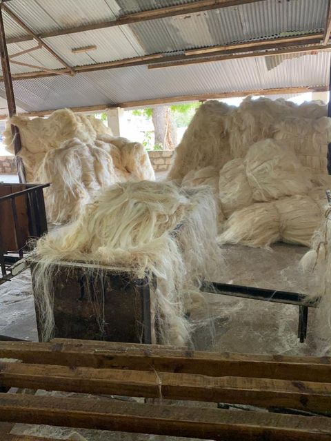 Top Quality Sisal Fibre / Sisal Hemp / Natural UG Grade. BEST PRICE in the MARKET Cheap Good Quality Sisal Fiber Factory Price - Image 5