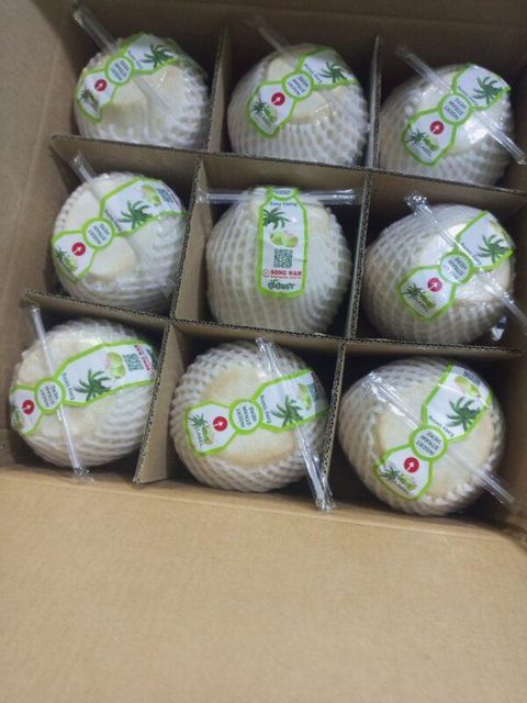 Fresh coconut export business in VIETNAM - High Quality Products from Song Nam ITD - Image 5