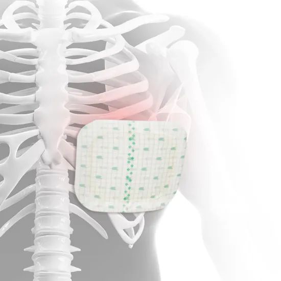 Premium Orthopedic Rib Splint for Adults - First Aid Solution - Image 5