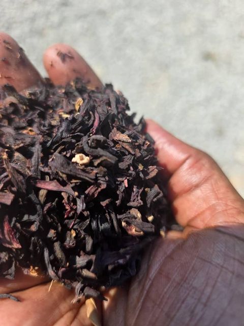 Hibiscus flower - Image 3