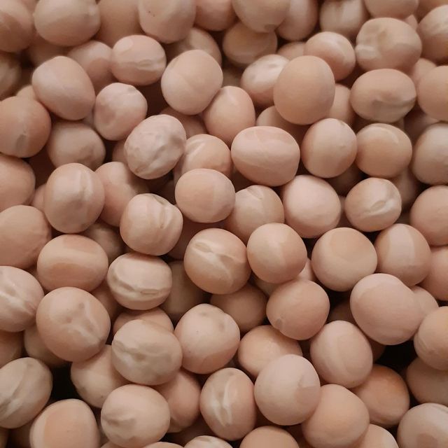 Export Grade White Peas With Low Moisture Content And High Purity For Long Term Storage And Transport - Image 3