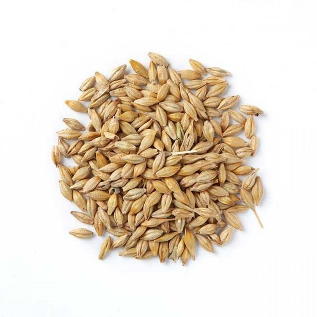 Premium Barley Grain With 95% Clean Content Fresh Barley Grain Packed For Export And Wholesale Buyers - Image 5