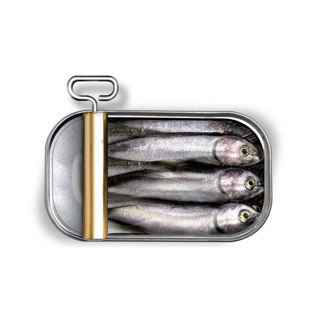 Hot Sale Price Of Canned Seafood Sardine in vegetable oil For Sale - Image 4