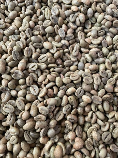 Green coffee robusta & Arabica G1 Indonesia - Image 3