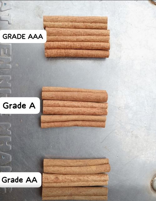 Cassia Cinnamons Packaging 20-25 Kg Max. Moisture (%) - Image 2
