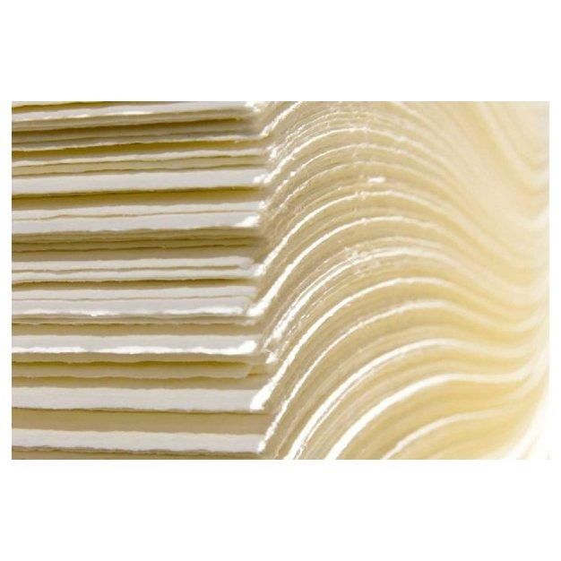 Quality Bleached Hardwood Kraft Pulp and Bleached Soft Wood Kraft Pulp - Image 3