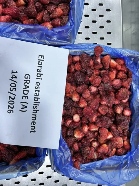 IQF Frozen Strawberry high FLAV WITHOUT SUGER GRADE (A - B - AB) – product photo 5, product detail gallery