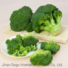 Organic Frozen Broccoli Pieces in Various Sizes HS Code 0710809090 Storage Temperature <-18℃ Production Capacity 2000 - Image 4