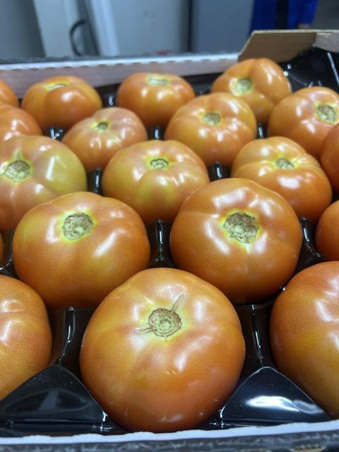 Tomatoes - Image 3
