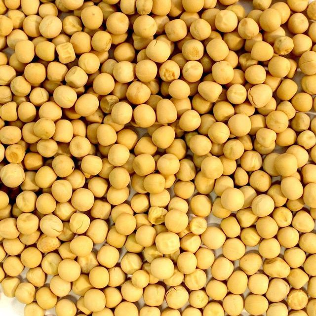 Fresh White Peas Direct Supply White Peas Bulk Quantity High Nutrition Healthy White Peas For Sale In Bulk - Image 1