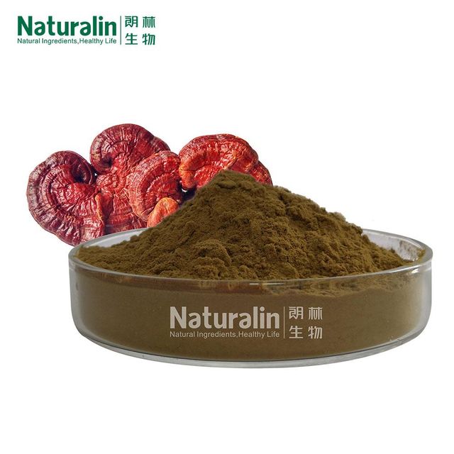 Mushroom Powder Blend - Image 5